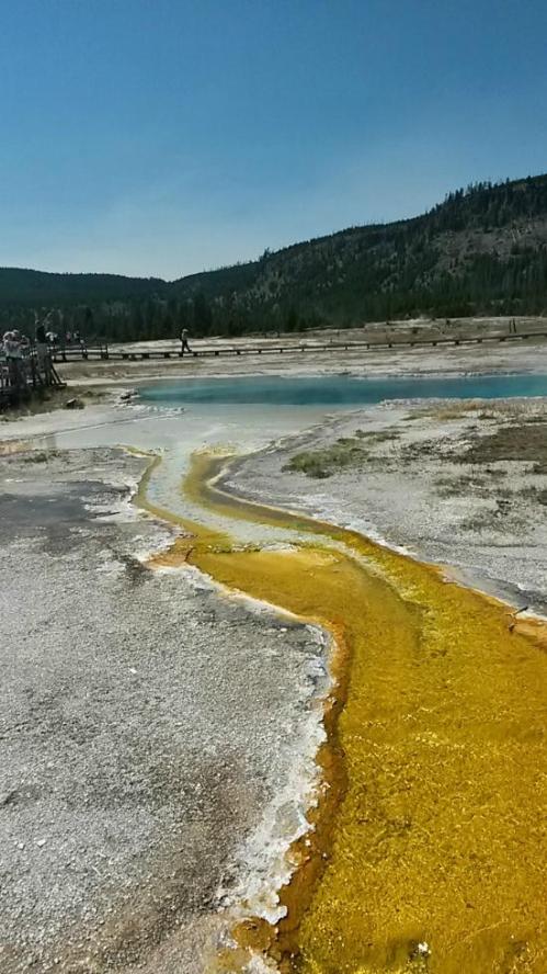 A vibrant yellow and orange thermal spring flows into a blue pool, surrounded by a rocky landscape and distant trees.