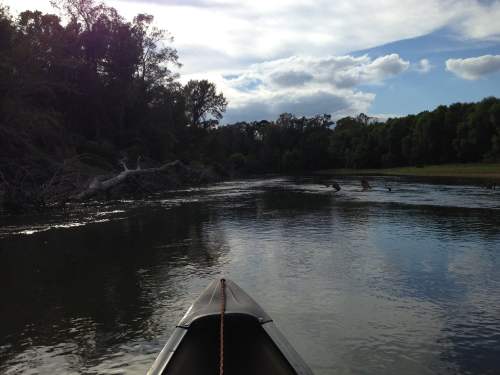 A canoe on a calm river surrounded by trees and a cloudy sky, reflecting the serene landscape.
