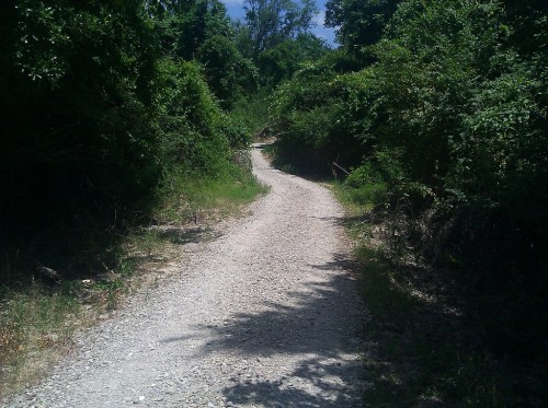 A winding gravel path surrounded by lush greenery and trees under a clear blue sky.