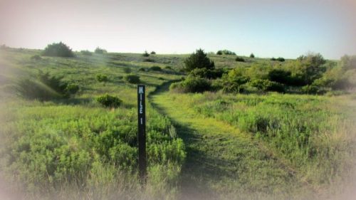 A grassy trail leads through a serene landscape, marked by a sign indicating "Mile 1."