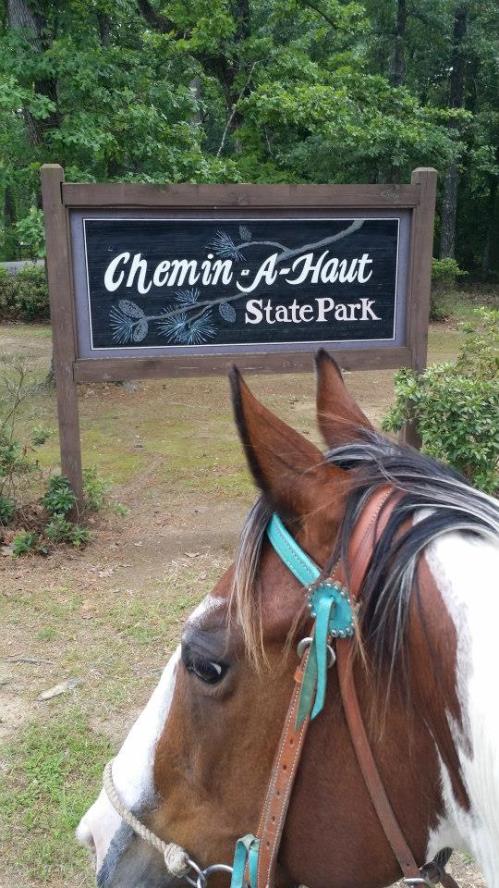 A horse in the foreground with a sign for Chemin-A-Haut State Park in the background, surrounded by greenery.