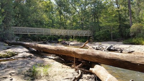 A serene river scene with a wooden bridge in the background and a large fallen log in the foreground, surrounded by greenery.