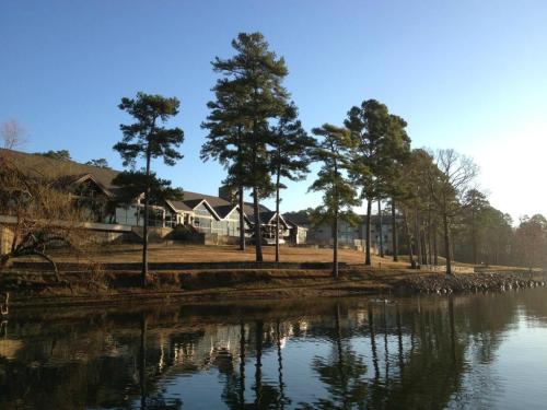 A serene lakeside view featuring tall pine trees and houses reflecting on the water under a clear blue sky.