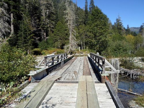 A wooden bridge spans a serene landscape of trees and greenery under a clear blue sky.