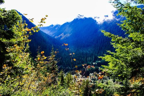 A scenic view of mountains and valleys, with lush greenery and autumn leaves under a bright blue sky.