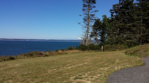 A serene coastal view with a grassy area, trees, and calm blue water under a clear blue sky.