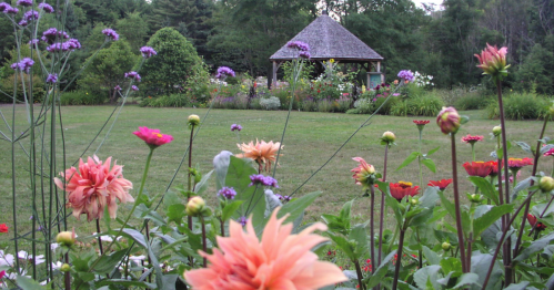 A garden with colorful flowers in the foreground and a gazebo surrounded by greenery in the background.