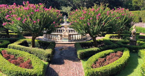A beautifully landscaped garden featuring flowering trees, a fountain, and neatly trimmed hedges in a symmetrical design.
