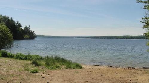 A serene lake view with a sandy shore, surrounded by trees and a clear blue sky.