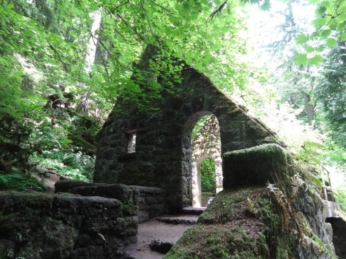 A moss-covered stone structure surrounded by lush green trees and foliage in a forest setting.