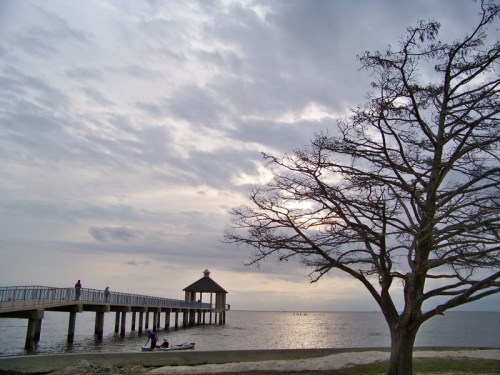 A cloudy sky over a calm sea, with a pier extending into the water and a bare tree on the shore.