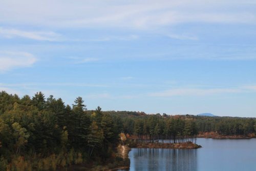 A serene landscape featuring a calm lake surrounded by lush green trees and a clear blue sky.