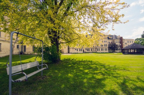 A sunny park scene featuring a swing under a flowering tree, with a building and gazebo in the background.