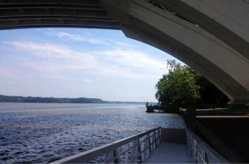 A serene view of a river under a bridge, with trees lining the shore and a clear blue sky above.