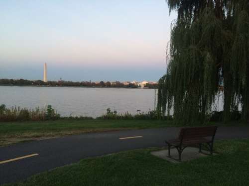 A peaceful riverside view with a bench, trees, and the Washington Monument in the distance at dusk.