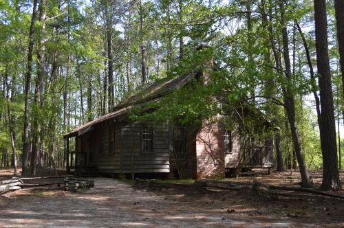 A rustic wooden cabin surrounded by tall trees in a forested area.