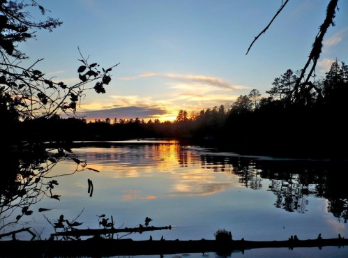 A serene sunset over a calm lake, framed by trees and silhouetted branches, reflecting vibrant colors on the water.
