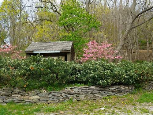 A small wooden structure surrounded by greenery and blooming pink trees in a serene outdoor setting.
