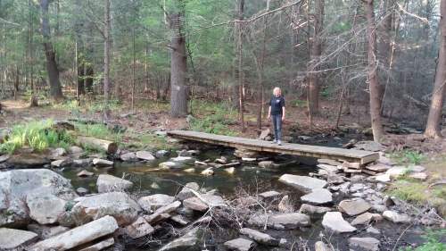 A person stands on a wooden bridge over a small stream, surrounded by trees and rocky terrain.