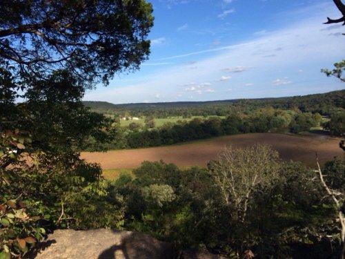 A scenic view of rolling hills and fields under a blue sky, framed by trees in the foreground.