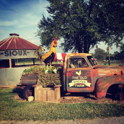 A vintage truck with a rooster statue parked at "The Old Chicken Farm," surrounded by greenery and rustic decor.