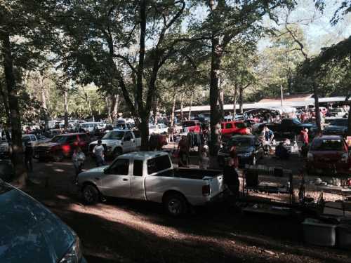 A busy outdoor market scene with numerous cars parked among trees and people browsing around.