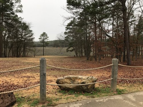 A serene landscape with a grassy field, trees, and a wooden fence with a rope, under a cloudy sky.