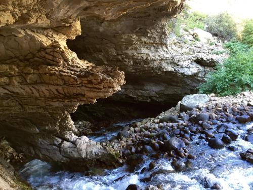 A rocky cave entrance with a flowing stream and lush greenery surrounding the area.