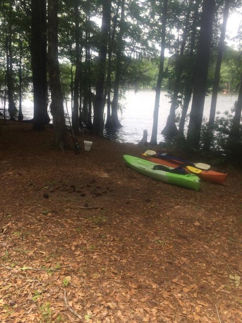 A serene lakeside scene with two kayaks on the shore, surrounded by trees and fallen leaves.