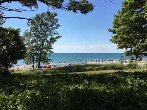 A serene beach scene with trees, blue water, and people enjoying the sun under a clear sky.