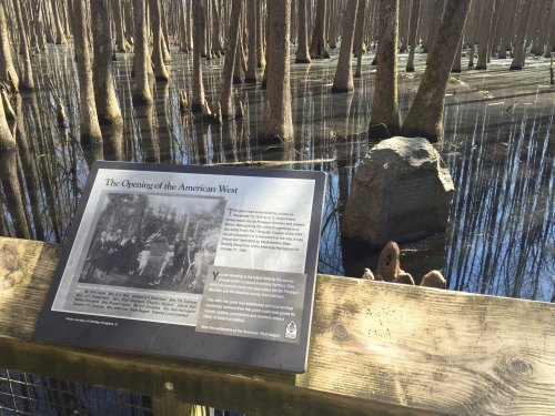 A sign about the Opening of the American West near a serene, water-filled cypress swamp with tree trunks reflected in the water.