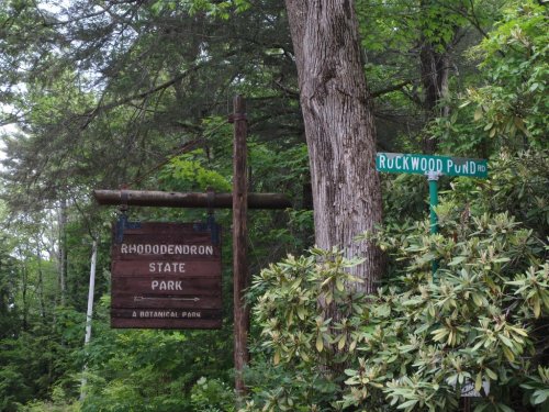 Wooden sign for Rhododendron State Park next to a green street sign for Ruckwood Pond, surrounded by trees and foliage.