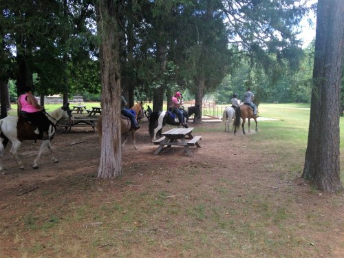 A group of people riding horses through a wooded area with picnic tables in the foreground.
