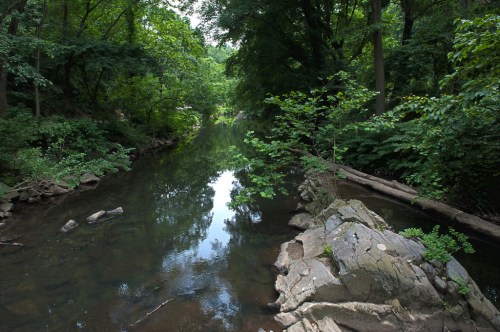 A serene river flows through a lush green forest, reflecting trees and rocks along its banks.
