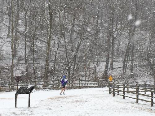 A person in shorts runs through a snowy landscape, surrounded by trees and a wooden fence. Snowflakes are falling.