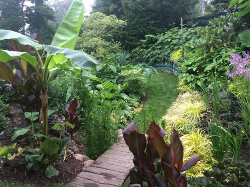 Lush garden path surrounded by vibrant greenery and tropical plants, leading through a serene landscape.
