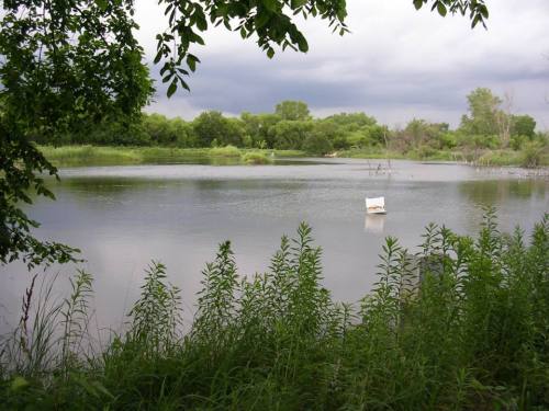 A serene lake surrounded by lush greenery and cloudy skies, with a small white object floating on the water.