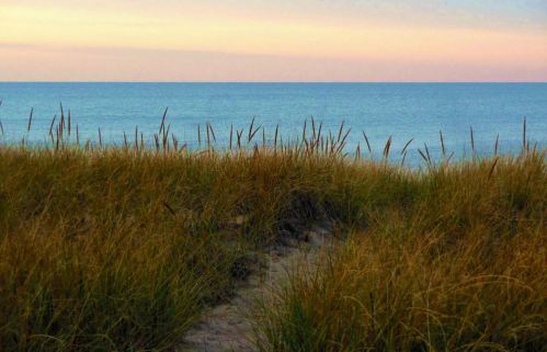 A serene beach scene with tall grass in the foreground and calm blue water under a pastel sky.