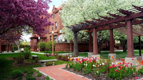 A lush garden with blooming trees and colorful tulips, featuring a historic building in the background.