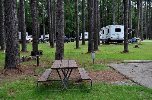 A picnic table in a grassy area surrounded by tall trees, with RVs parked in the background.