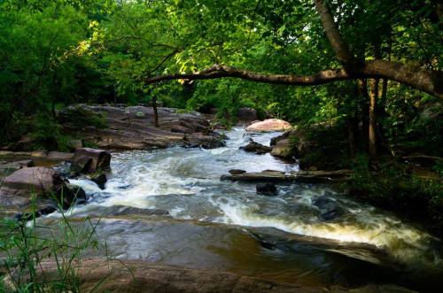 A serene river flows over rocky terrain, surrounded by lush green trees and foliage.