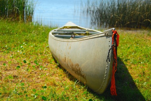 A weathered canoe rests on grassy shore near a calm lake, surrounded by tall reeds and bright sunlight.