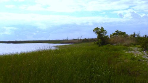 A serene landscape featuring a grassy shoreline by a calm body of water under a cloudy sky.