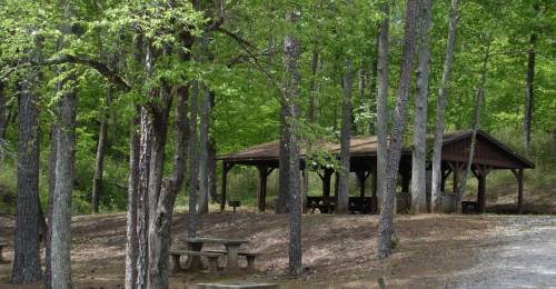 A wooden picnic shelter surrounded by lush green trees in a serene outdoor setting.