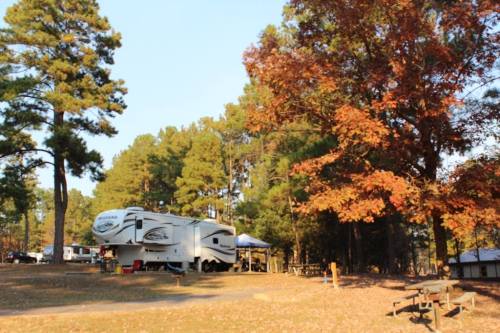 A camper parked among tall trees with autumn foliage, surrounded by a peaceful outdoor setting.