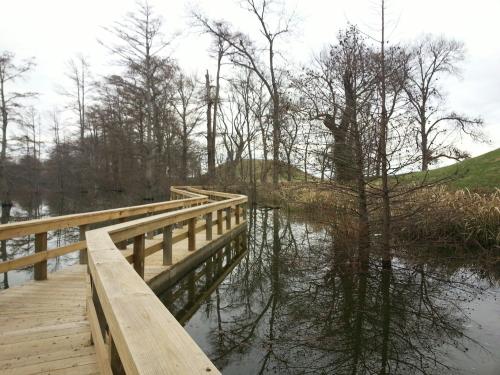 A wooden boardwalk winds through a tranquil, tree-lined wetland with still water reflecting the landscape.