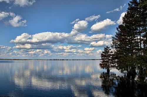 A serene lake scene with blue skies, fluffy clouds, and trees reflecting on the calm water's surface.