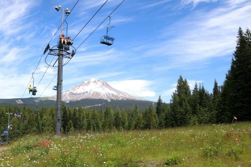 A ski lift with people riding, set against a backdrop of a mountain and lush green trees under a blue sky.