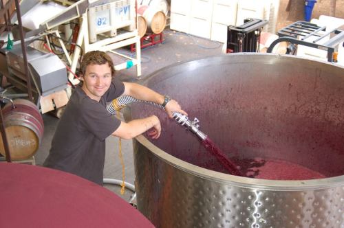 A person is transferring red wine from a large fermentation tank in a winery. Barrels and equipment are visible in the background.