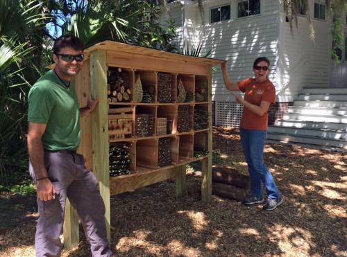 Two people stand beside a wooden insect hotel filled with natural materials, surrounded by greenery.